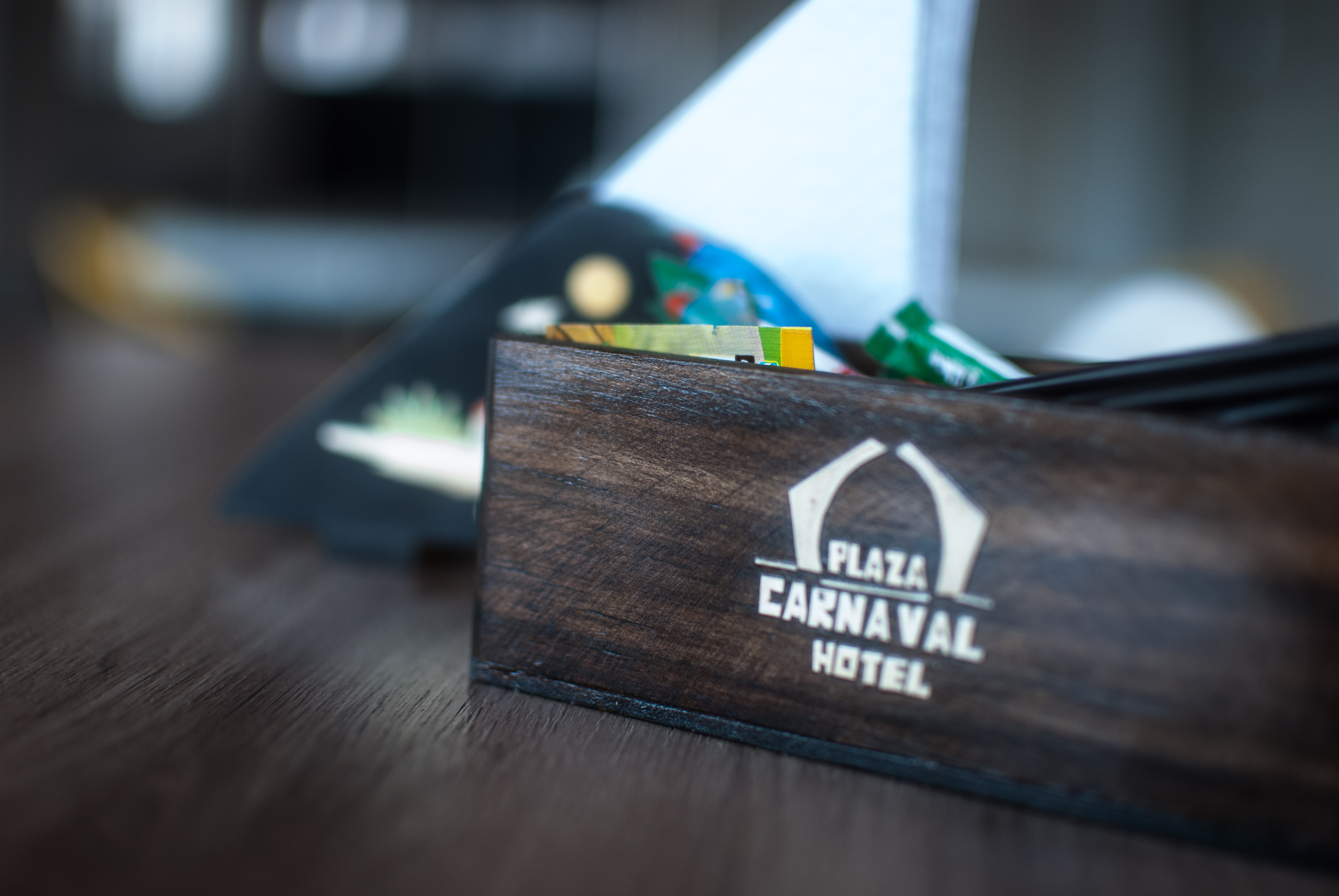 Hotel Plaza Carnaval 11/21
