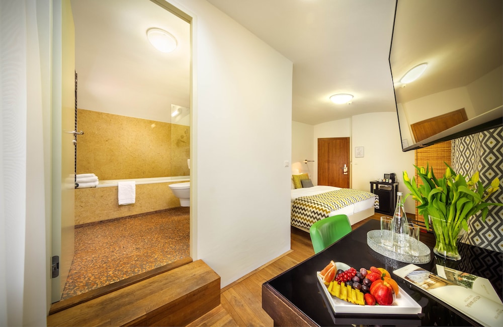 Bellevue Hotel Karlov 6/66