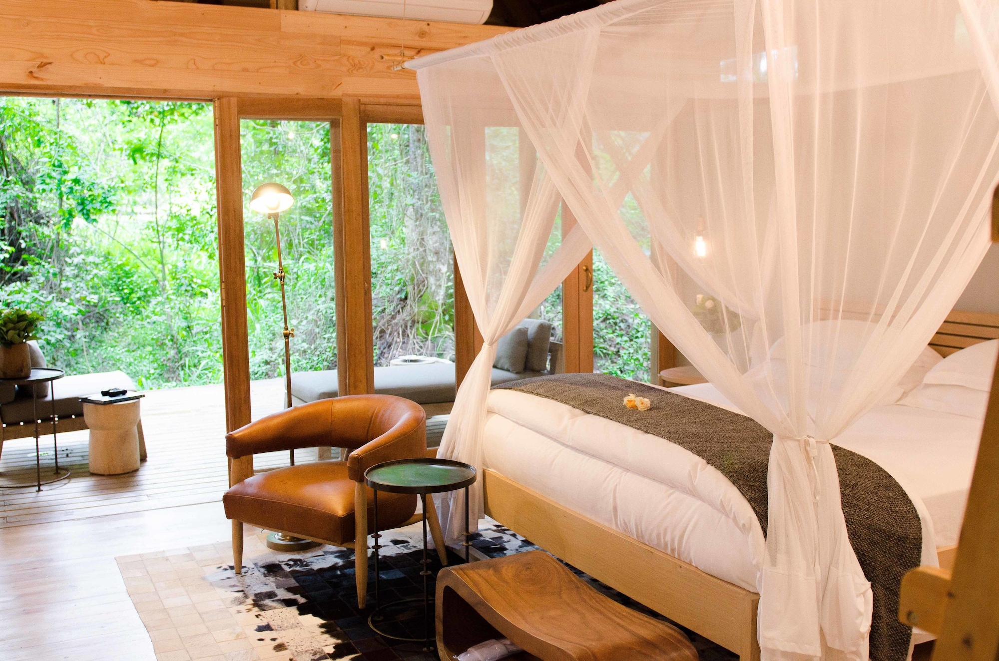 Forest, Luxury, Suite