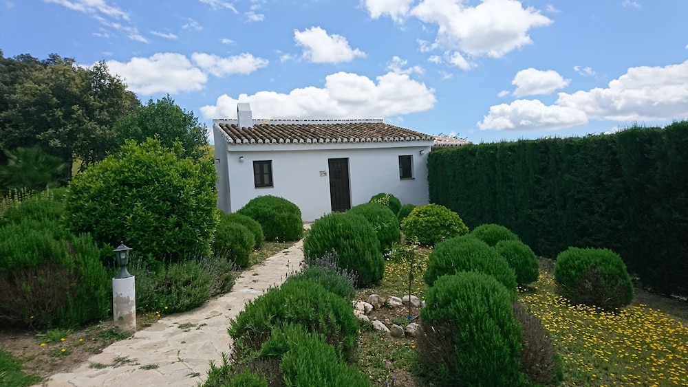 La Fuente del Sol 43/50