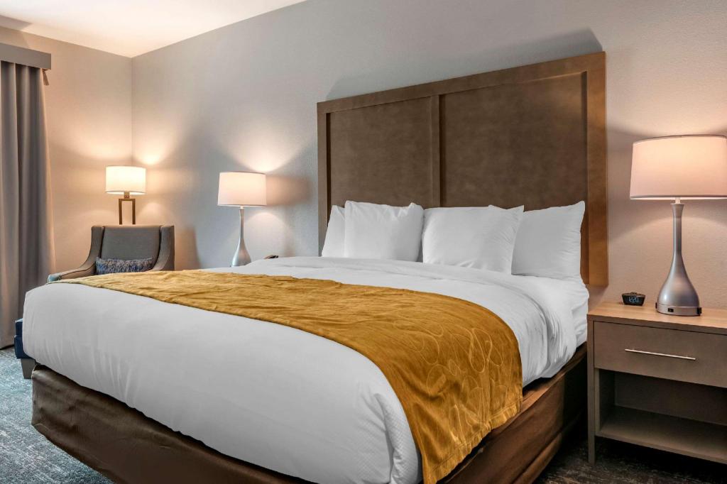Suite, King Bed, Sofa, Accessible