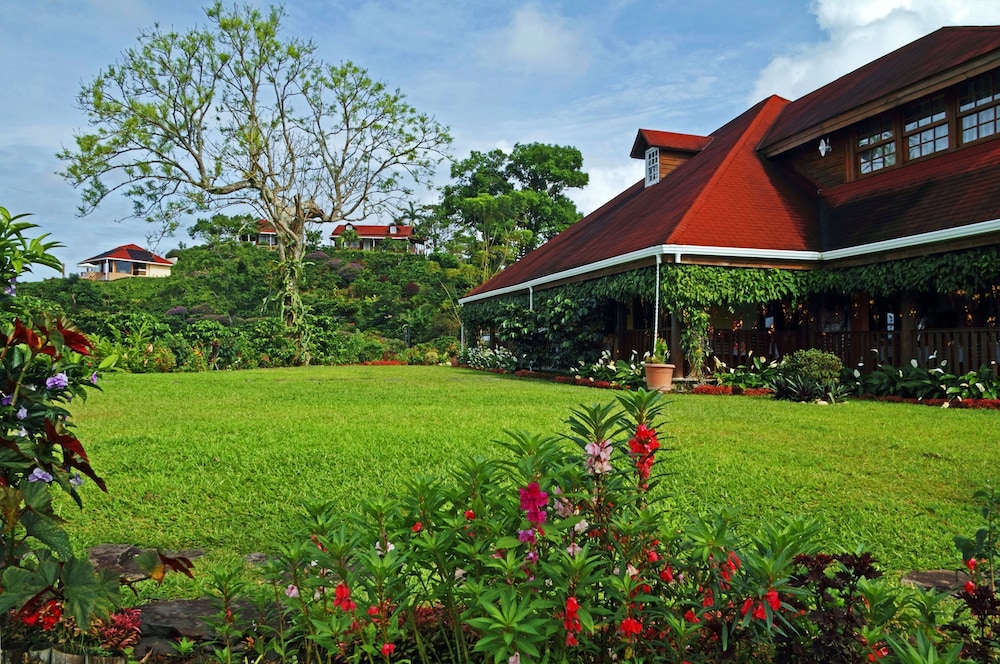 Finca Hamburgo 56/64
