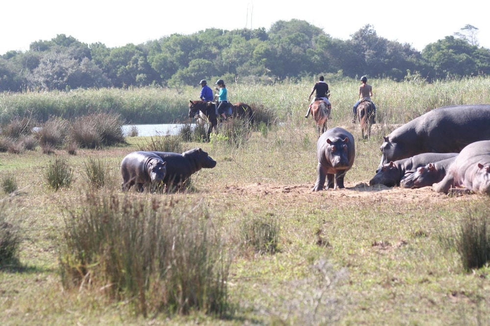 Lodge Afrique 33/75