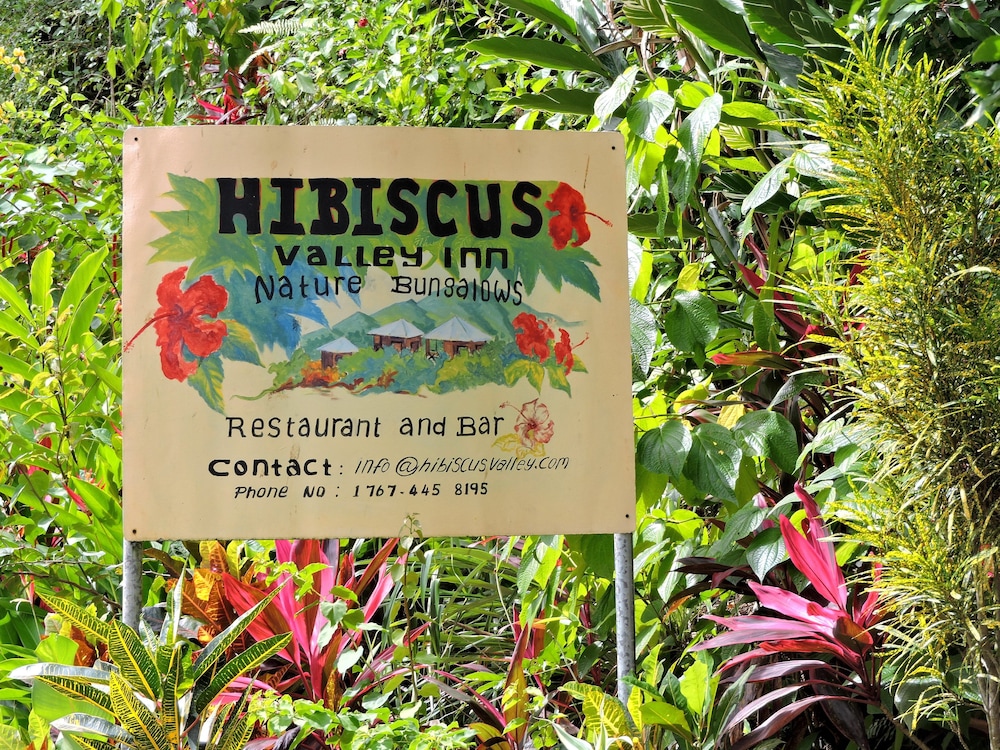 Hibiscus Valley Inn 2/50