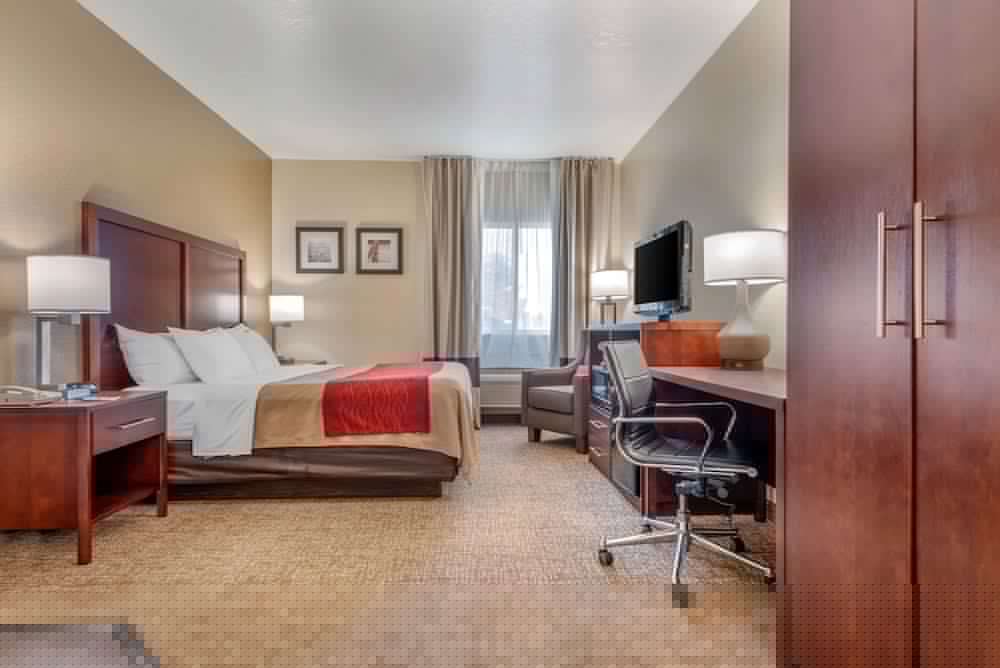 Comfort Inn Fremont, IN 18/39