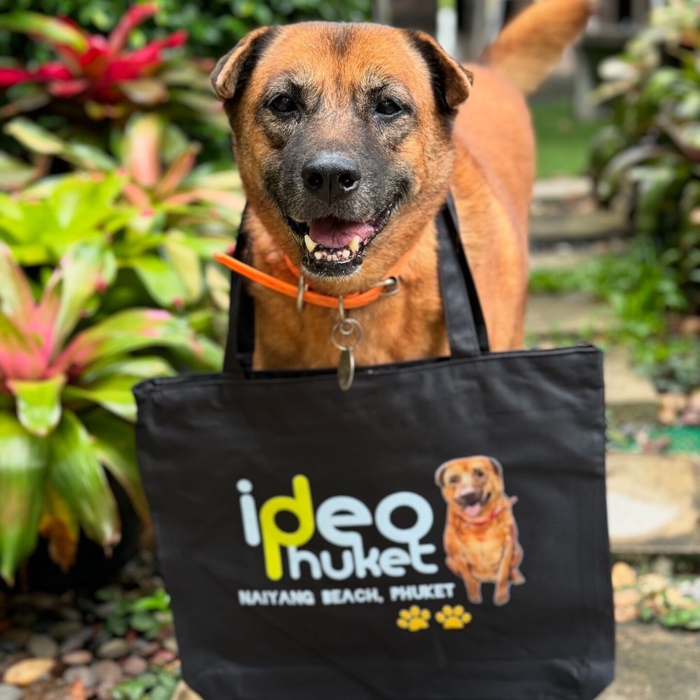 Ideo Phuket Hotel 21/44