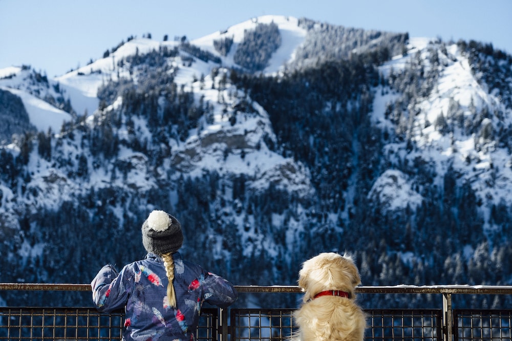 Limelight Ketchum Idaho 71/74
