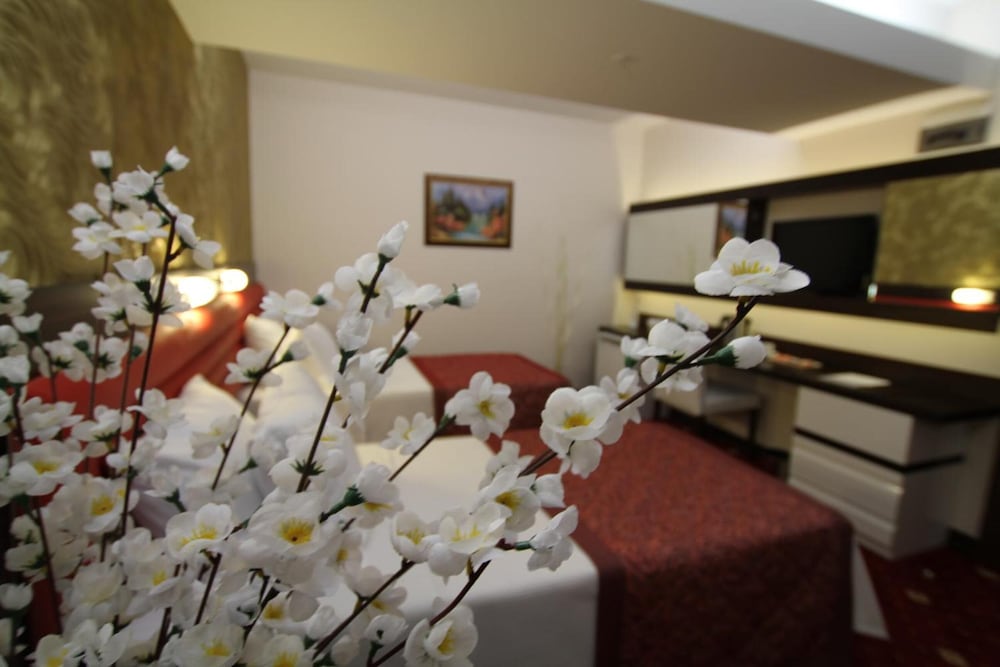 Sahin Park Hotel Eskisehir 16/32
