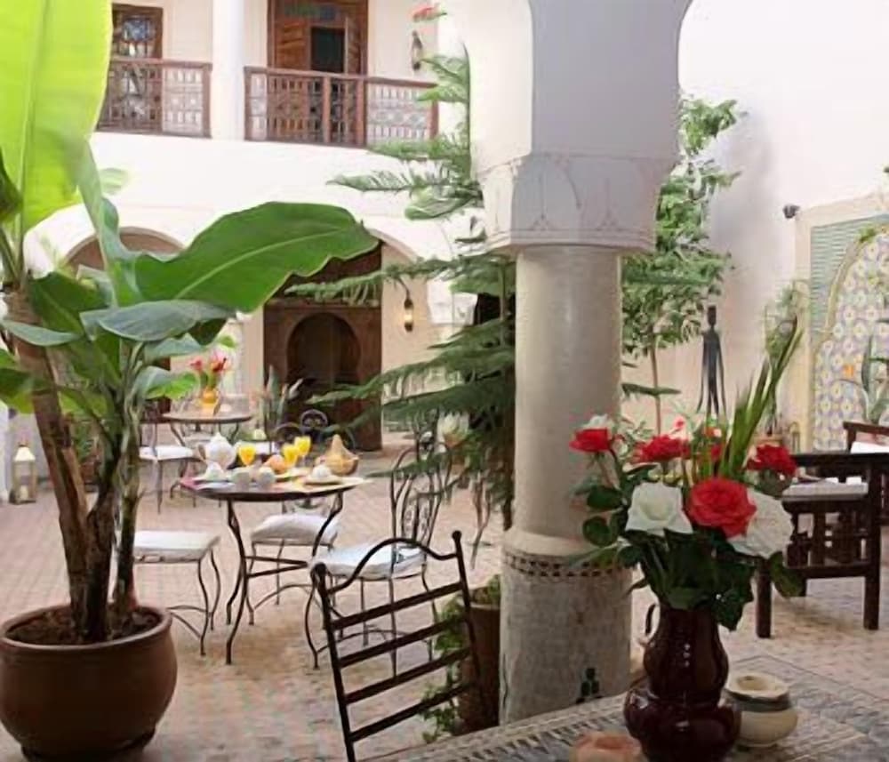 RIAD CANNELLE 54/56