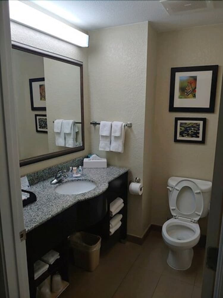 Comfort Inn & Suites Marianna I-10 21/38