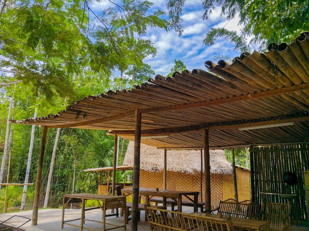Rain Forest Inn 62/66