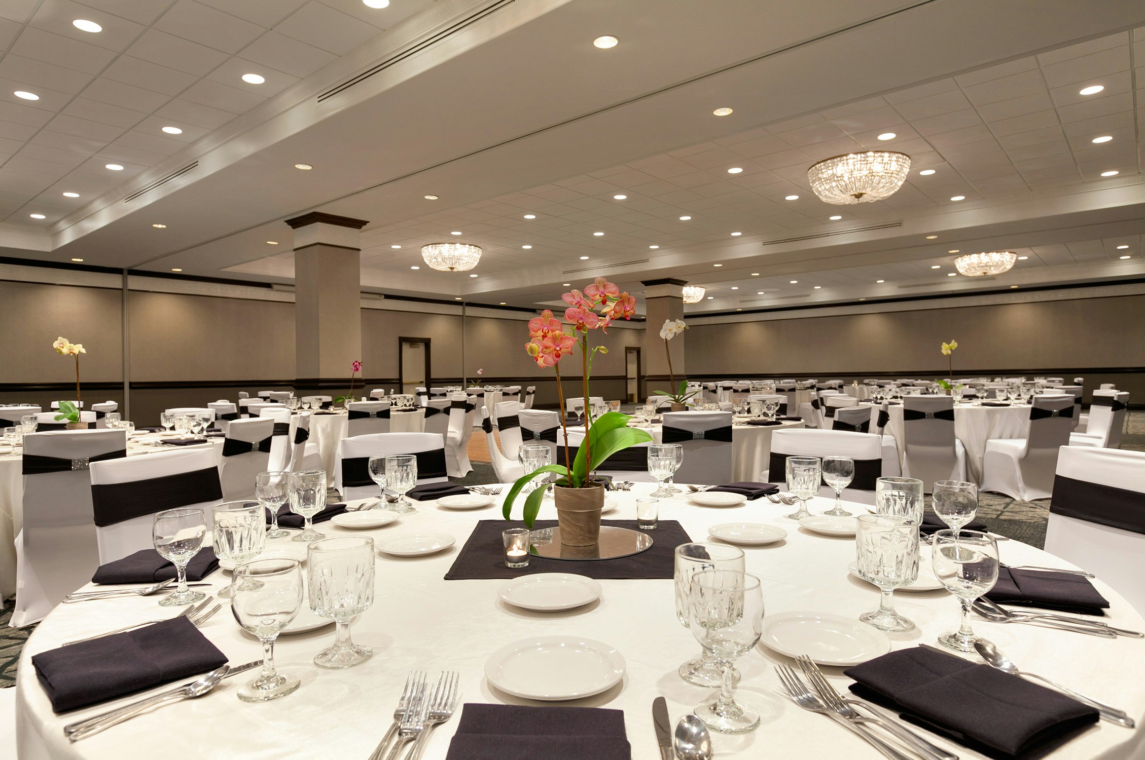 Embassy Suites By Hilton San Francisco Airport Waterfront 48/50