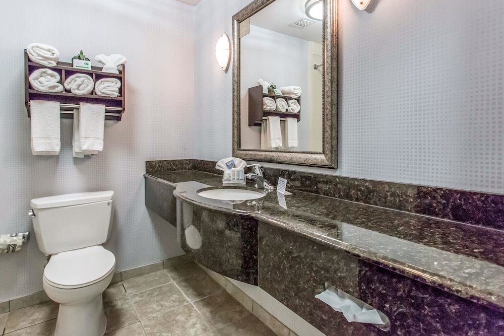 غرفة بسرير كينج لذوي الإعاقة، Sleep Inn & Suites West Medical Center 8/8