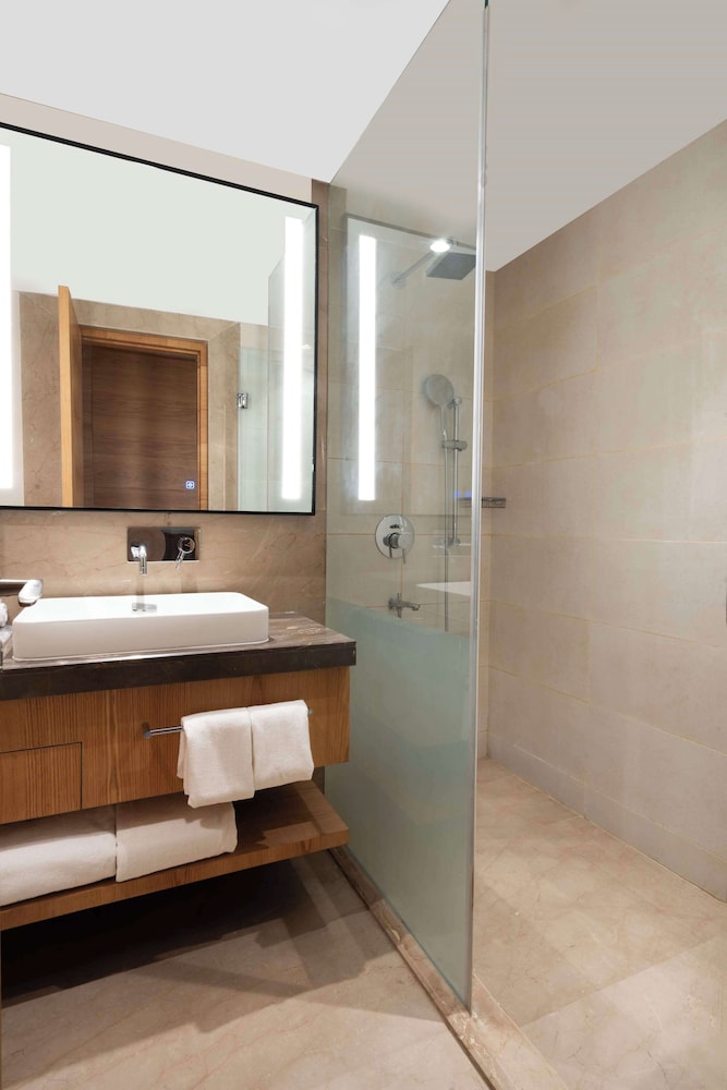 Radisson Hotel Vrindavan 50/50