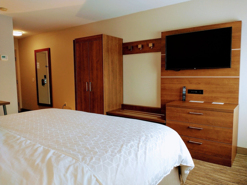 Holiday Inn Express Hotel & Suites Madison 19/60