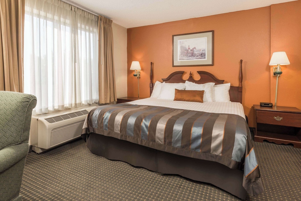 Room, King Bed