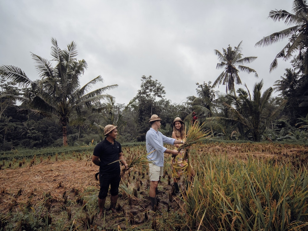 Maar Resort Ubud by Ini Vie Hospitality 73/81