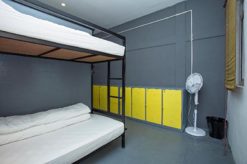 Mixed Dorm, 4 Bunk Beds