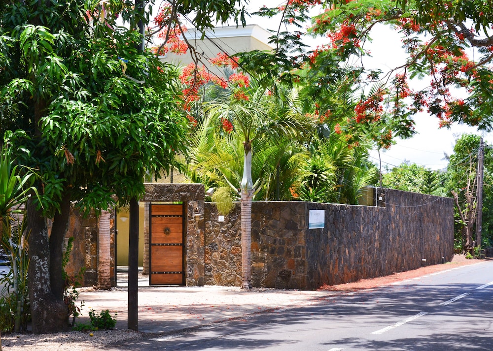 LA MARGARITA 45/46