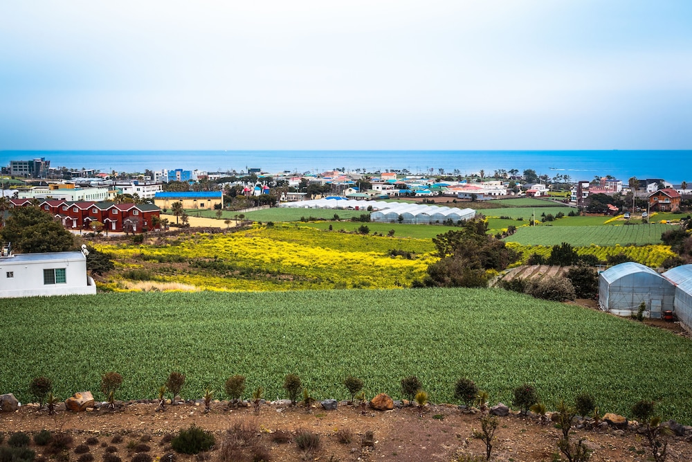 IRO Jeju 59/66