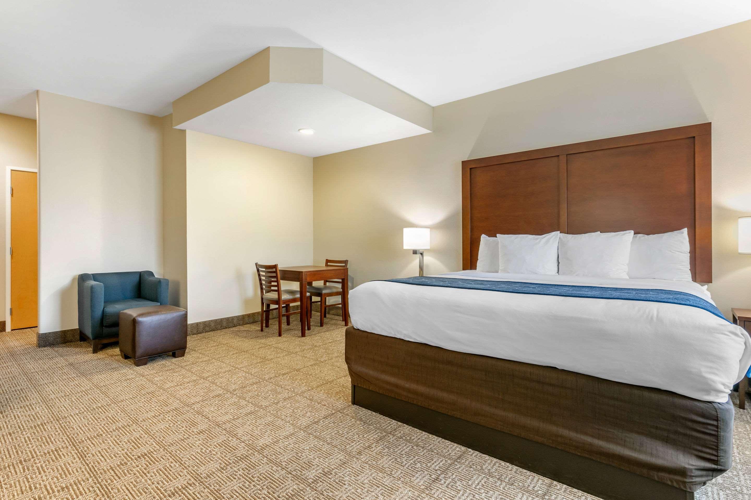 Suite, King Bed