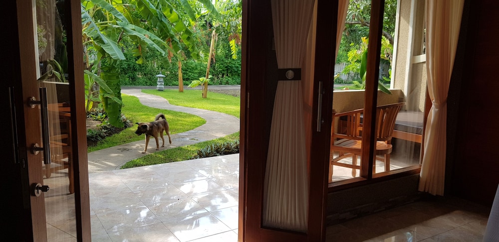 Mango Tree Inn 40/47