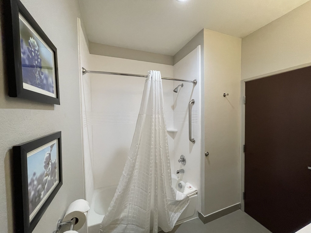 Comfort Inn & Suites Balch Springs - SE Dallas 28/30
