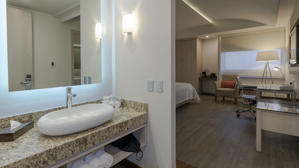 HOLIDAY INN EXPRESS MEXICO - TOREO 19/58
