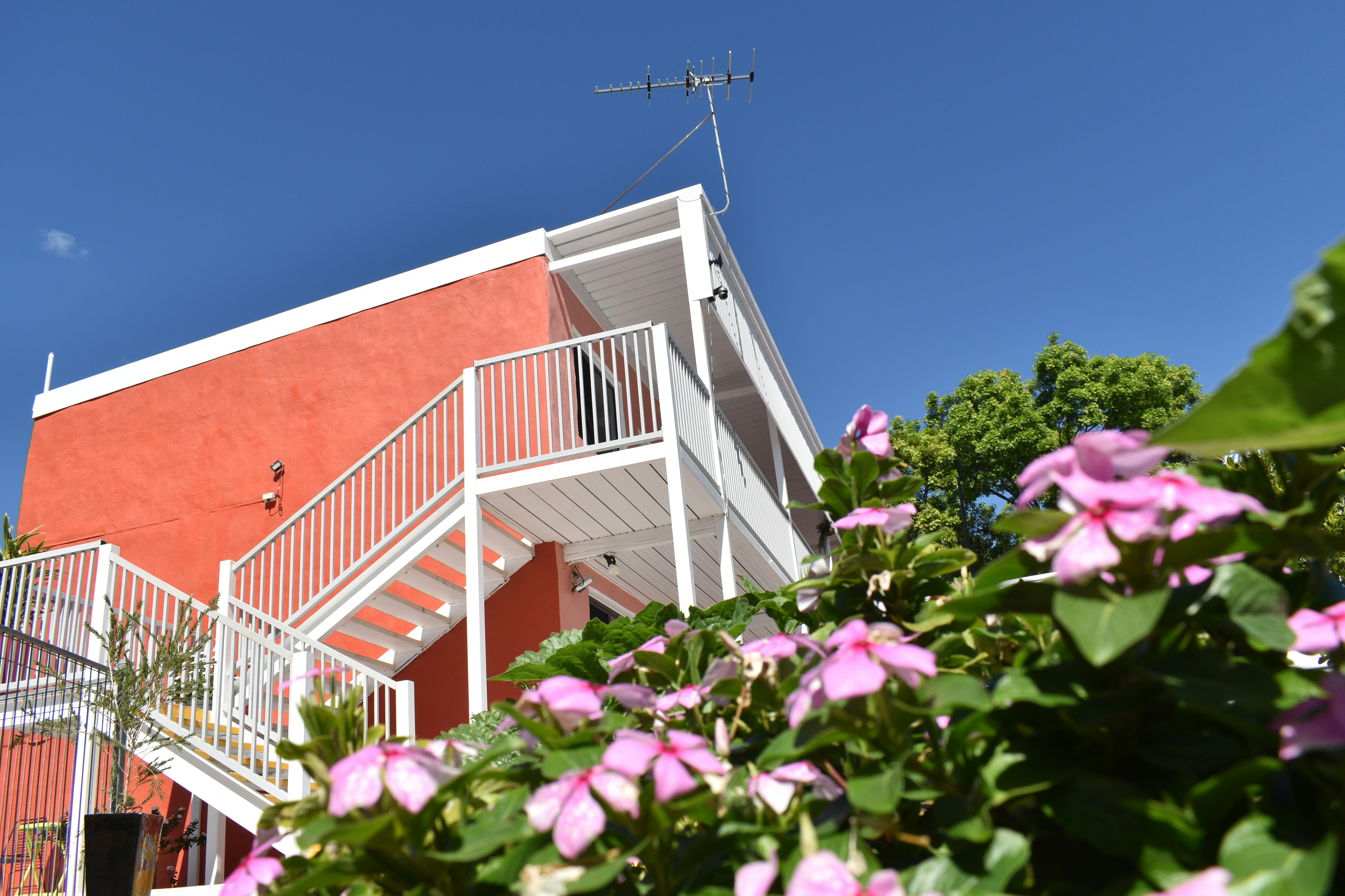Palm Court Budget Motel Backpackers 2/43