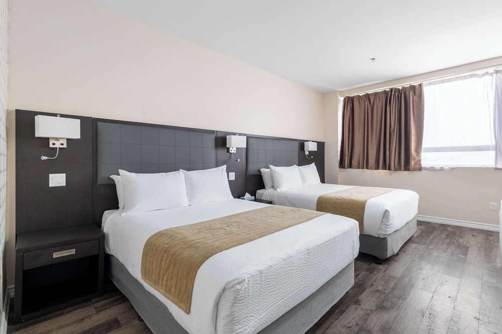 Suite, 2 Queen Beds, Sofa, Kitchen, Large