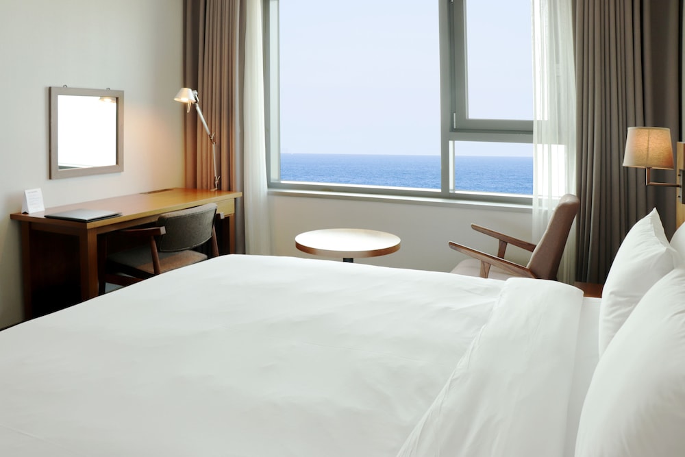 Grabel Hotel Jeju 9/77