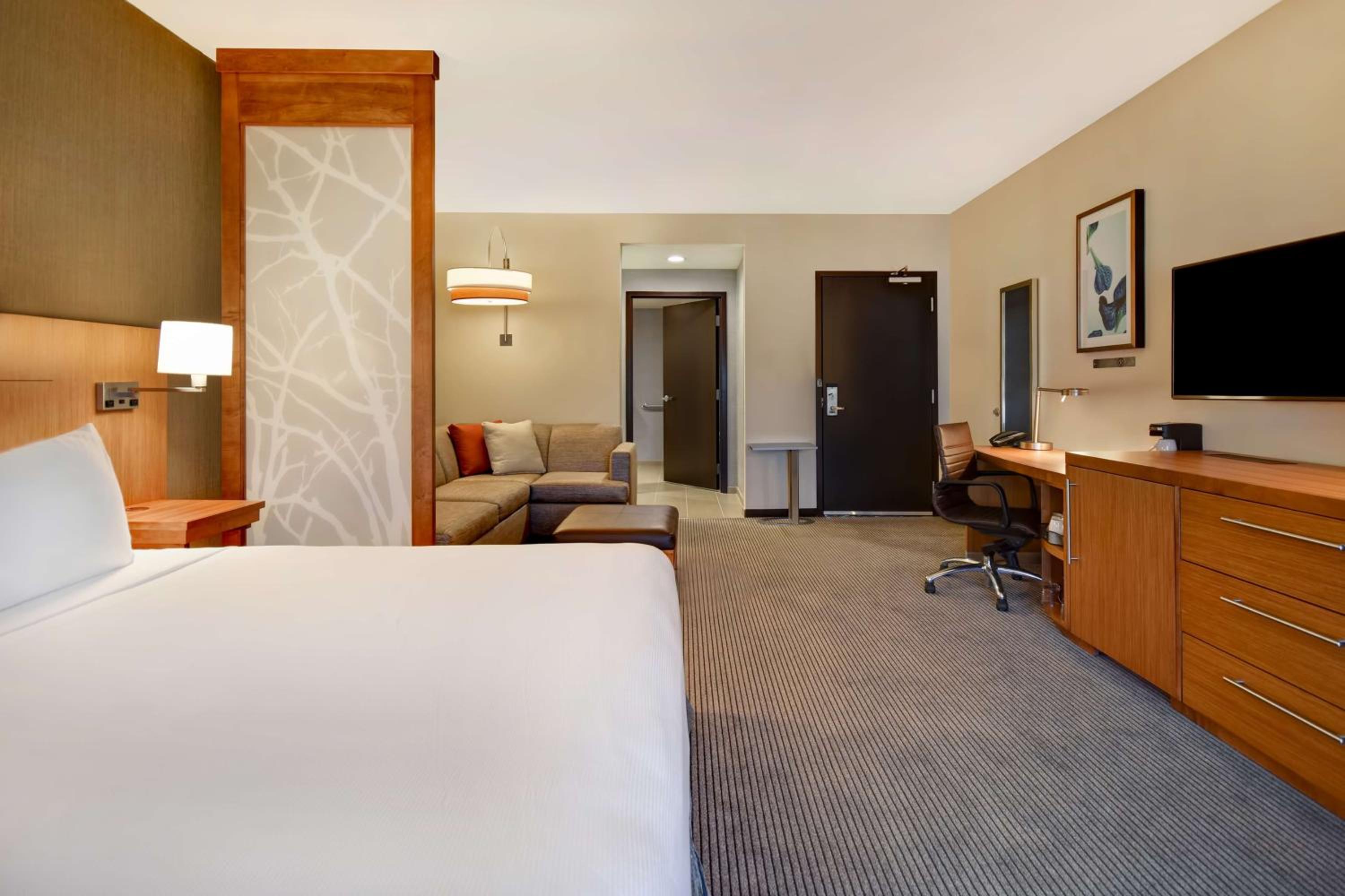 Room, King Bed, Sofa, Bathtub, Accessible