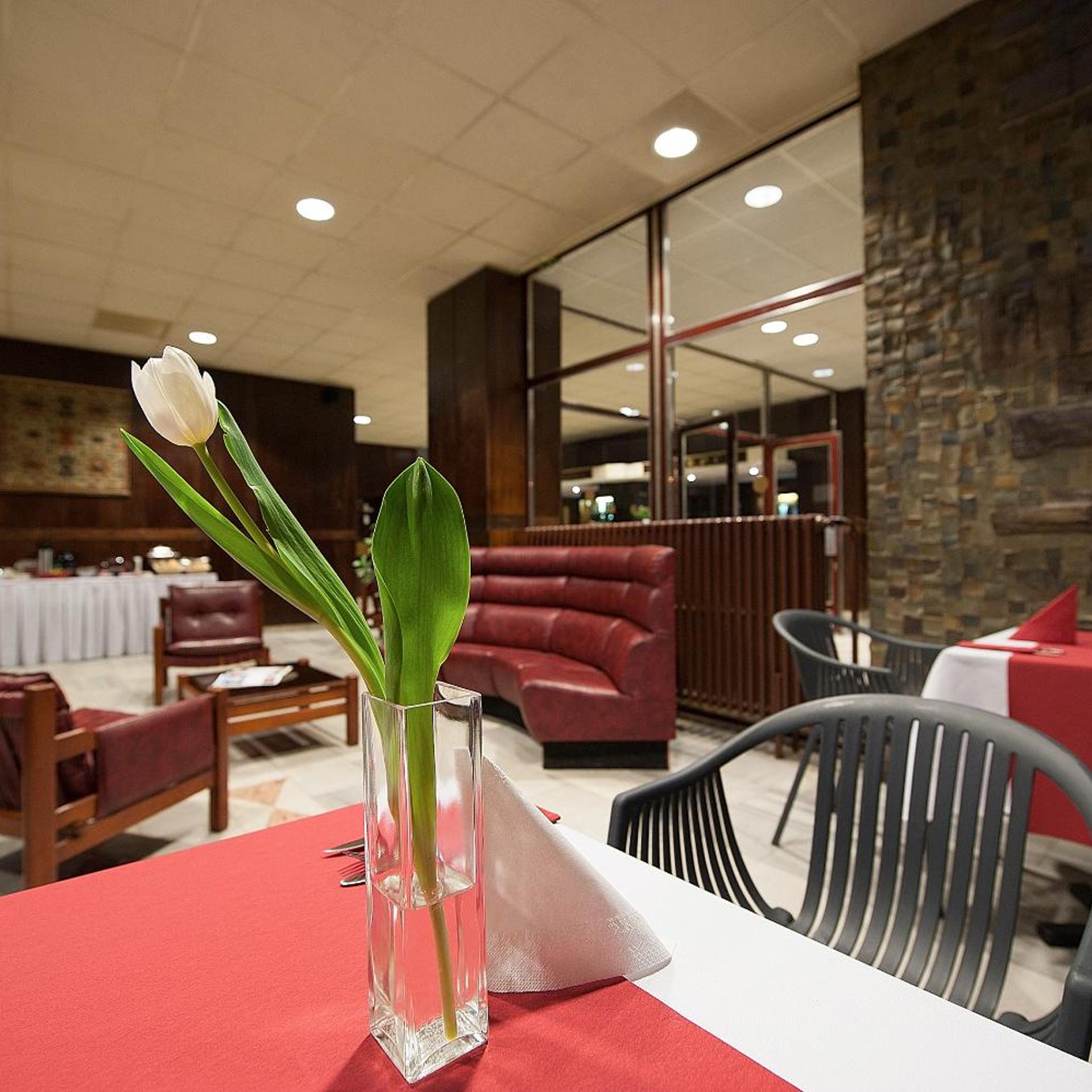 Hotel Kladno 34/50