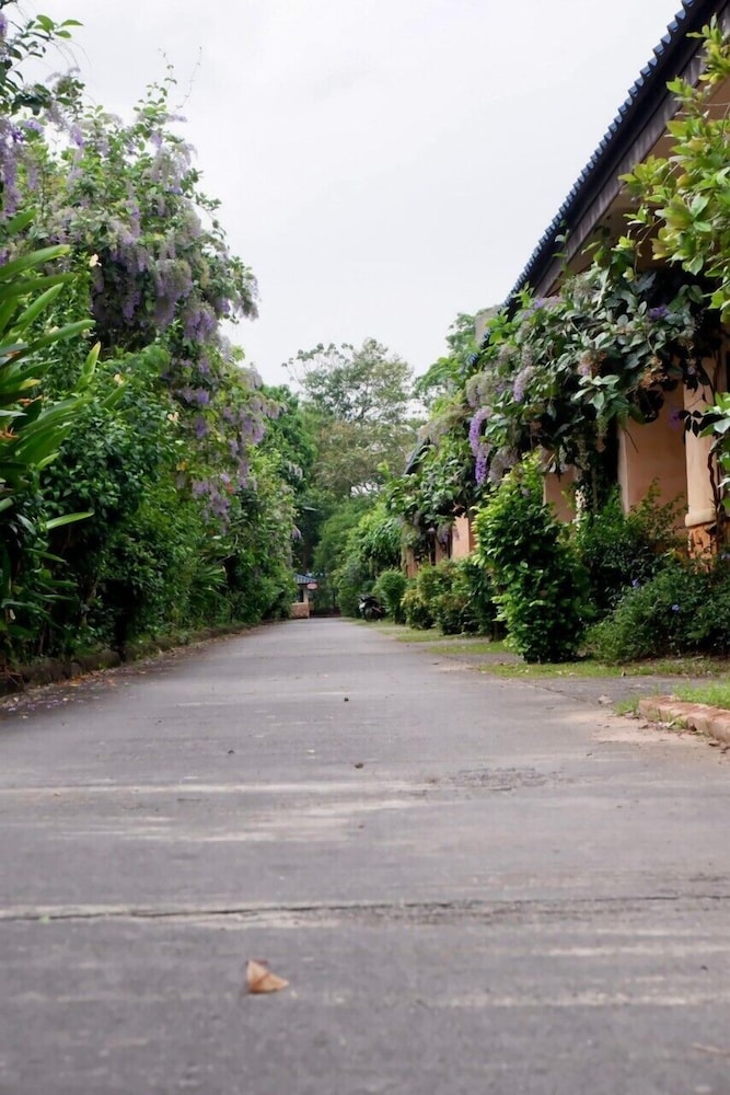 Palm Chalet Resort 36/50