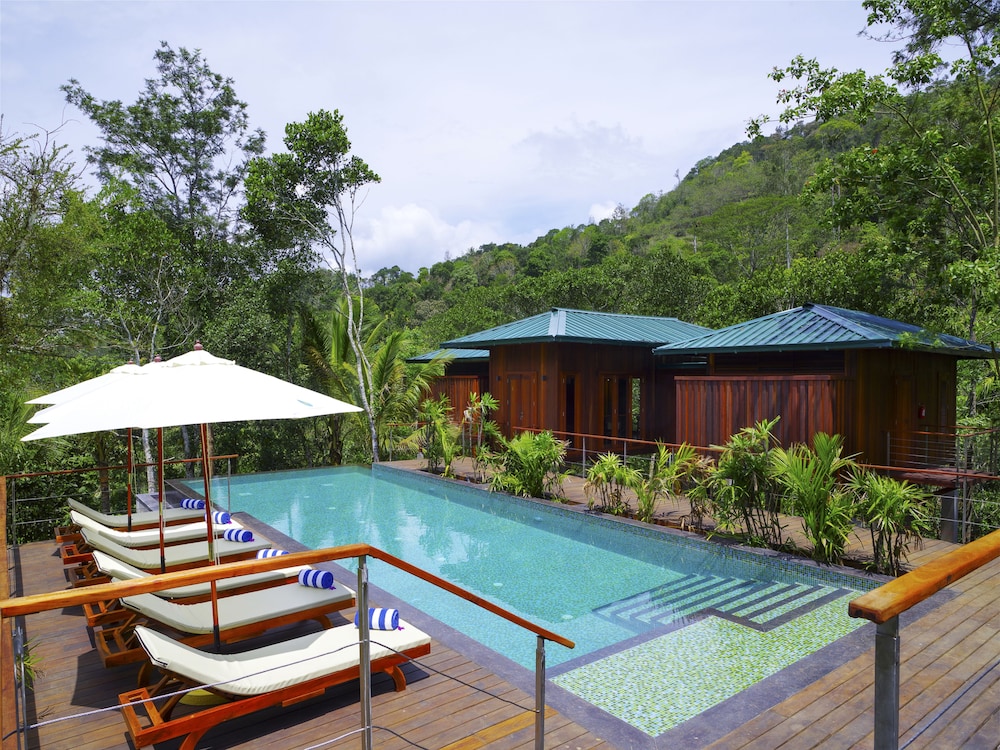 Niraamaya Retreats Cardamum Club 33/36
