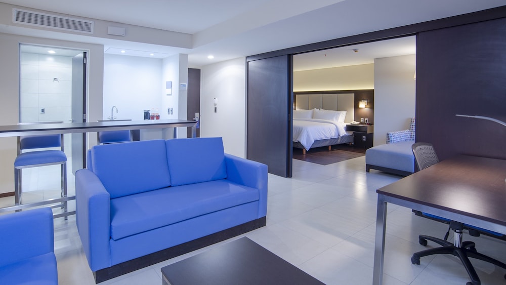 Holiday Inn Express Mexico Basilica 39/52