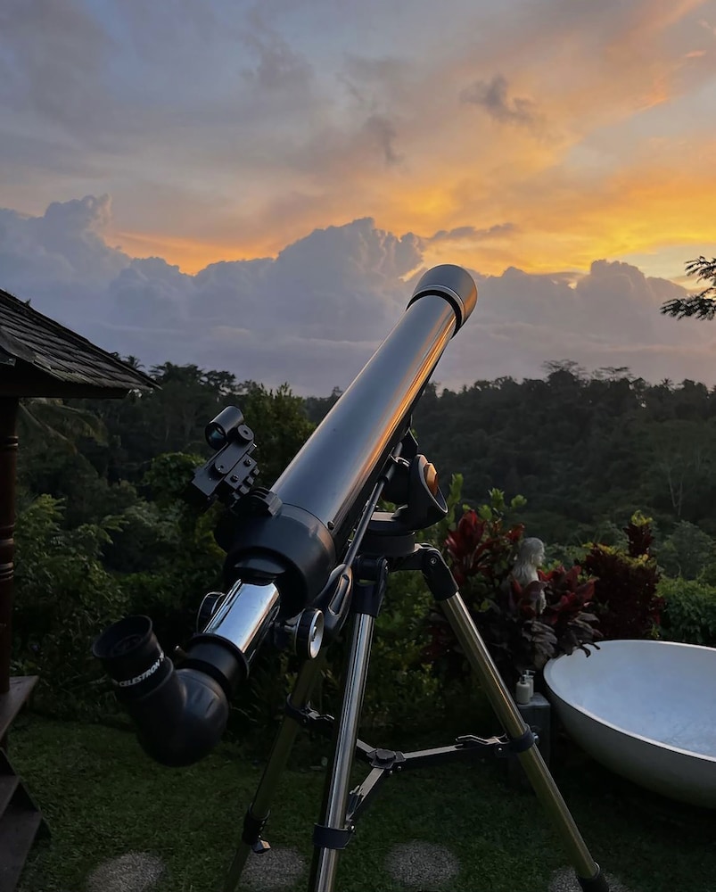 Bubble Hotel Bali Ubud 36/50