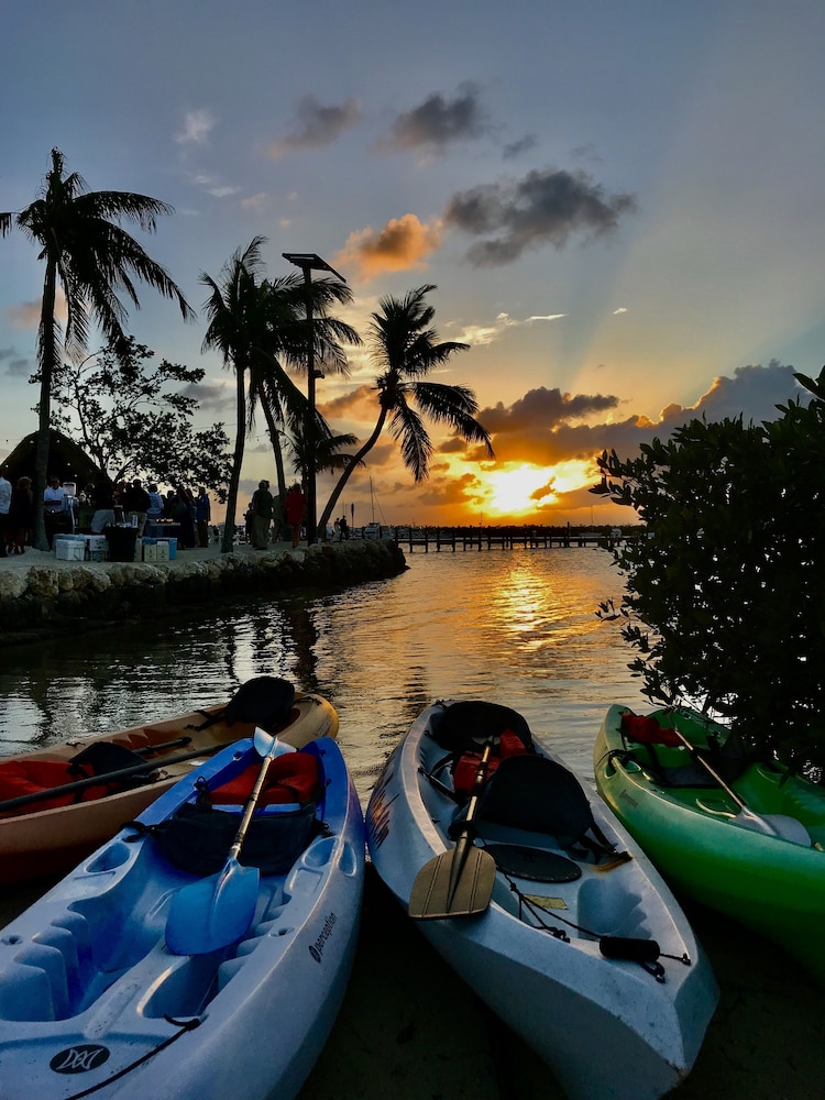 Coconut Palm Inn 24/50