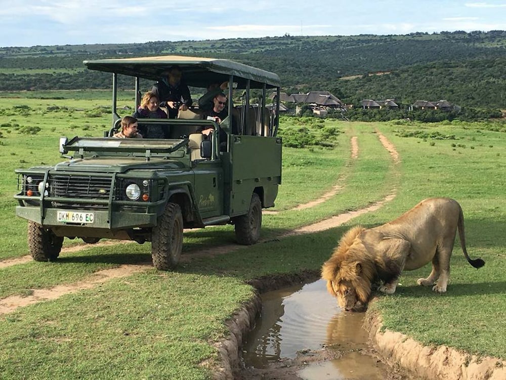 Pumba Private Game Reserve 46/50