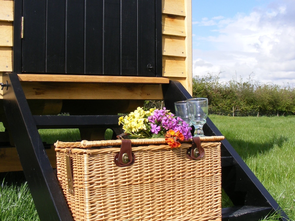 Marshwood Farm B&B And Shepherds Hut 28/33