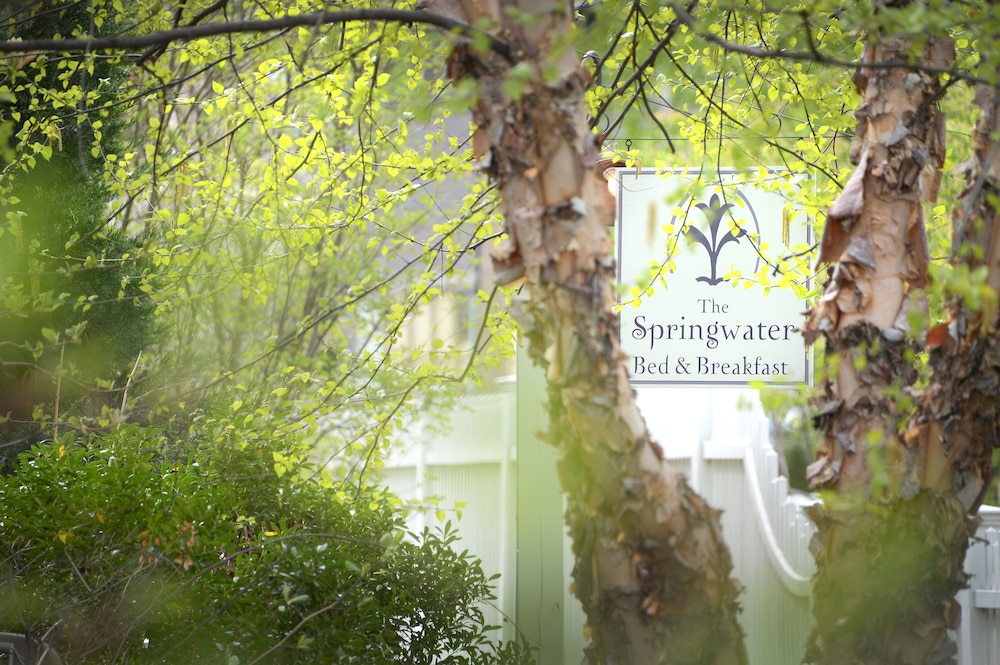 The Springwater Bed And Breakfast 42/50