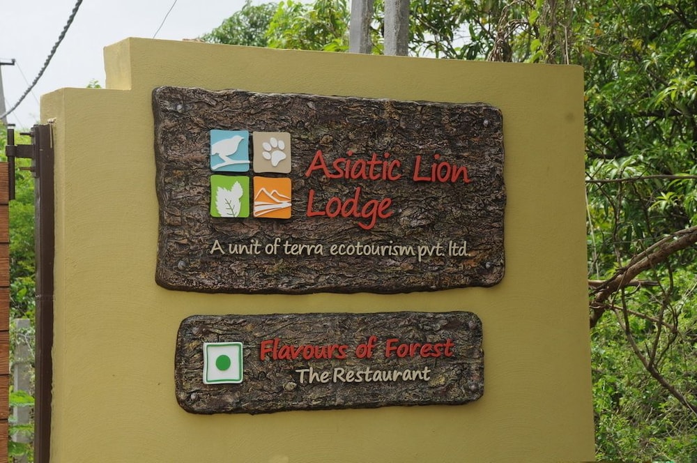Asiatic Lion Lodge 1/50