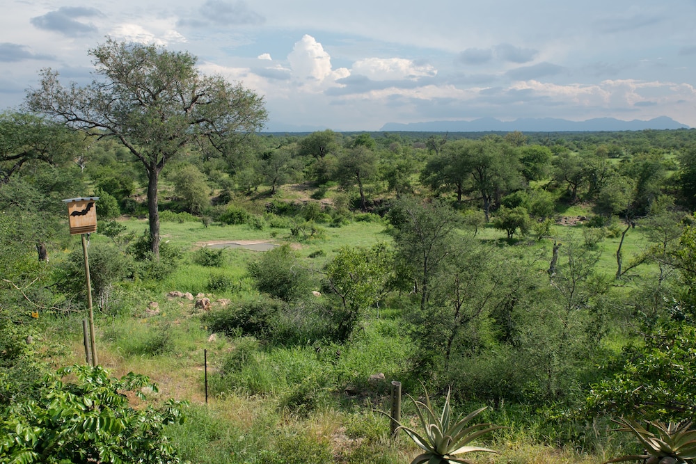 Sausage Tree Safari Camp 38/42