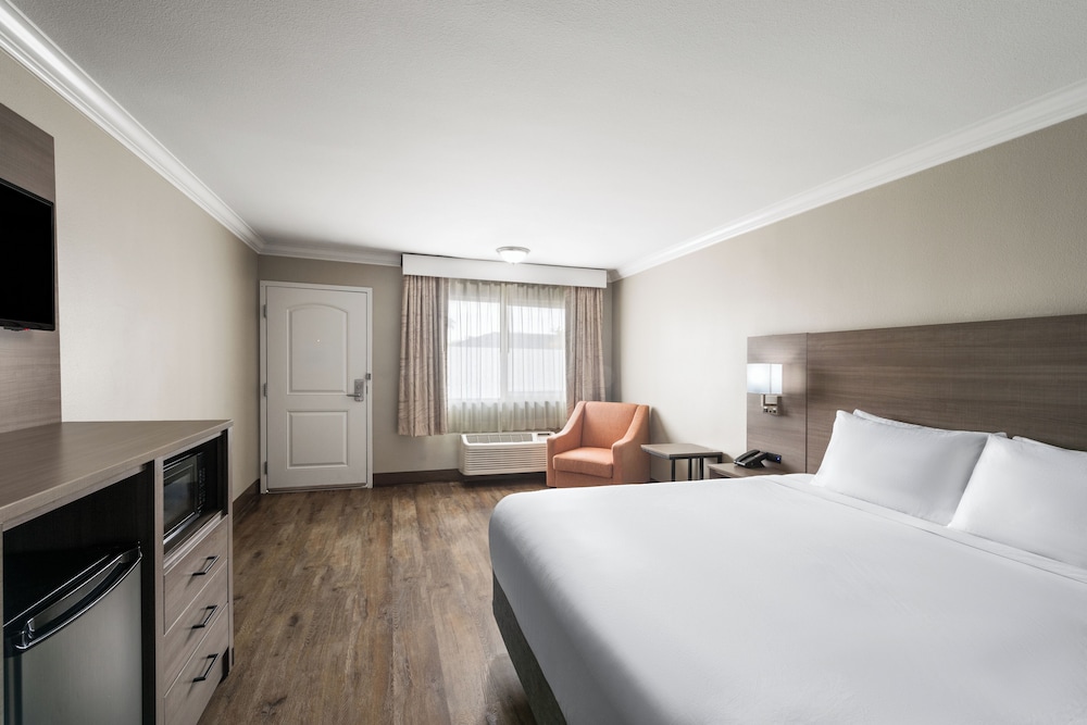 STANDARD, KING BED, ACCESSIBLE