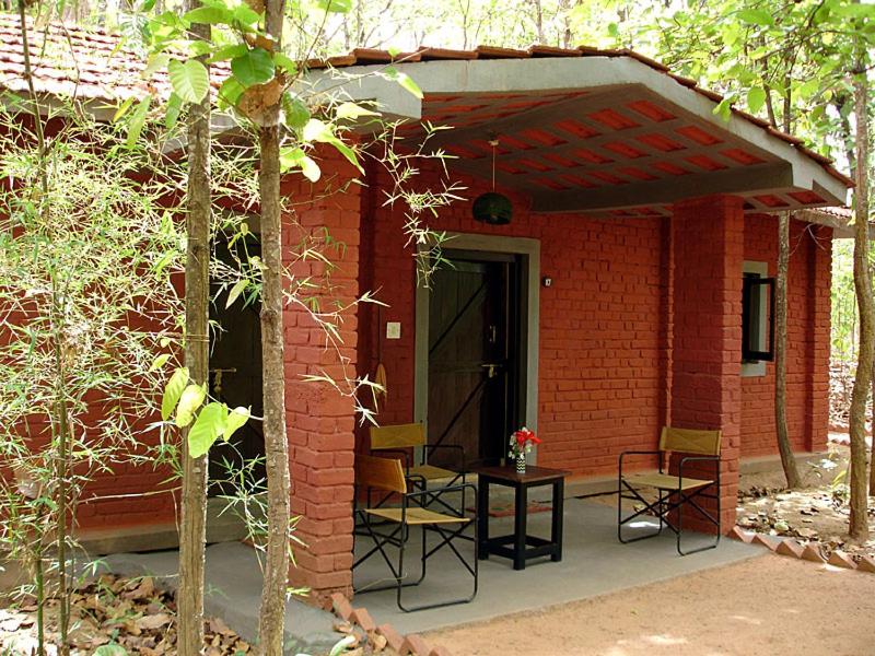 Kanha Jungle Lodge 6/25