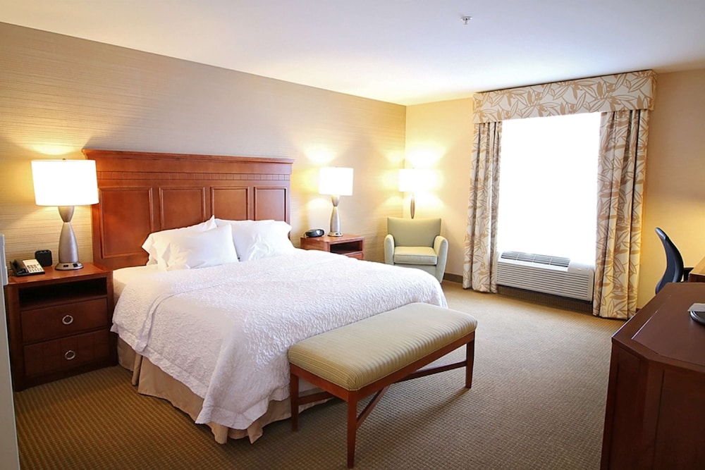 Hampton Inn Detroit North Auburn Hills 18/45