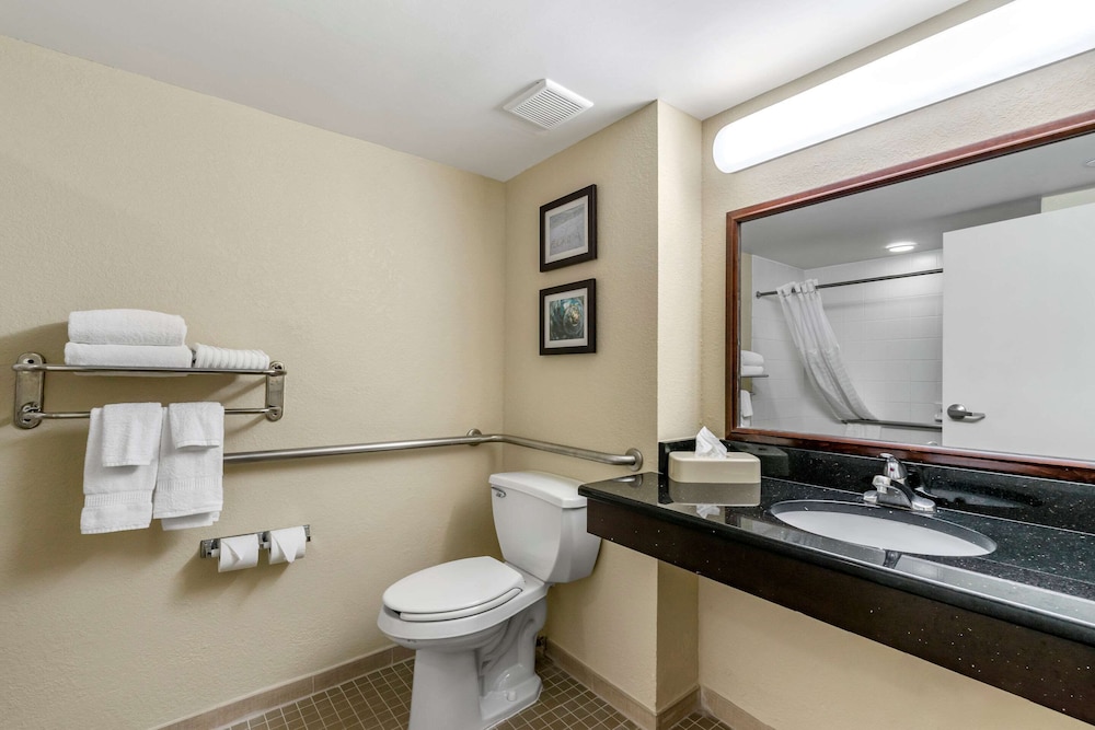 Comfort Inn & Suites St. Pete - Clearwater International Airport 7/41