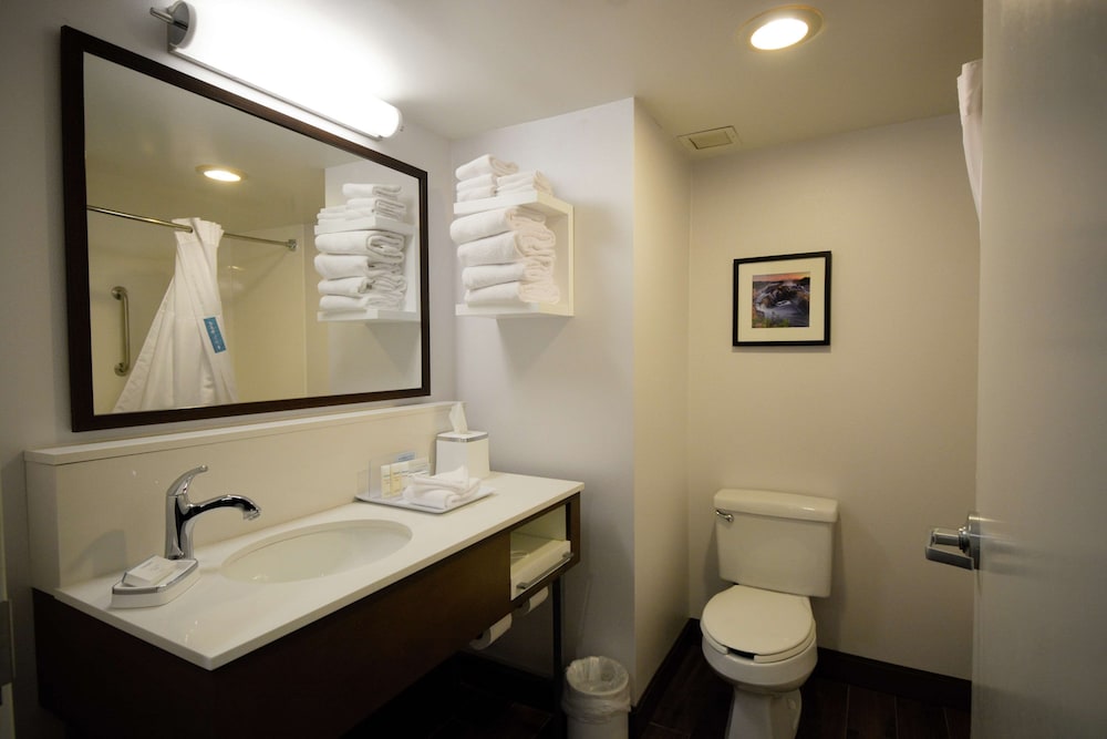 Hampton Inn Salem East - Electric Road 17/58