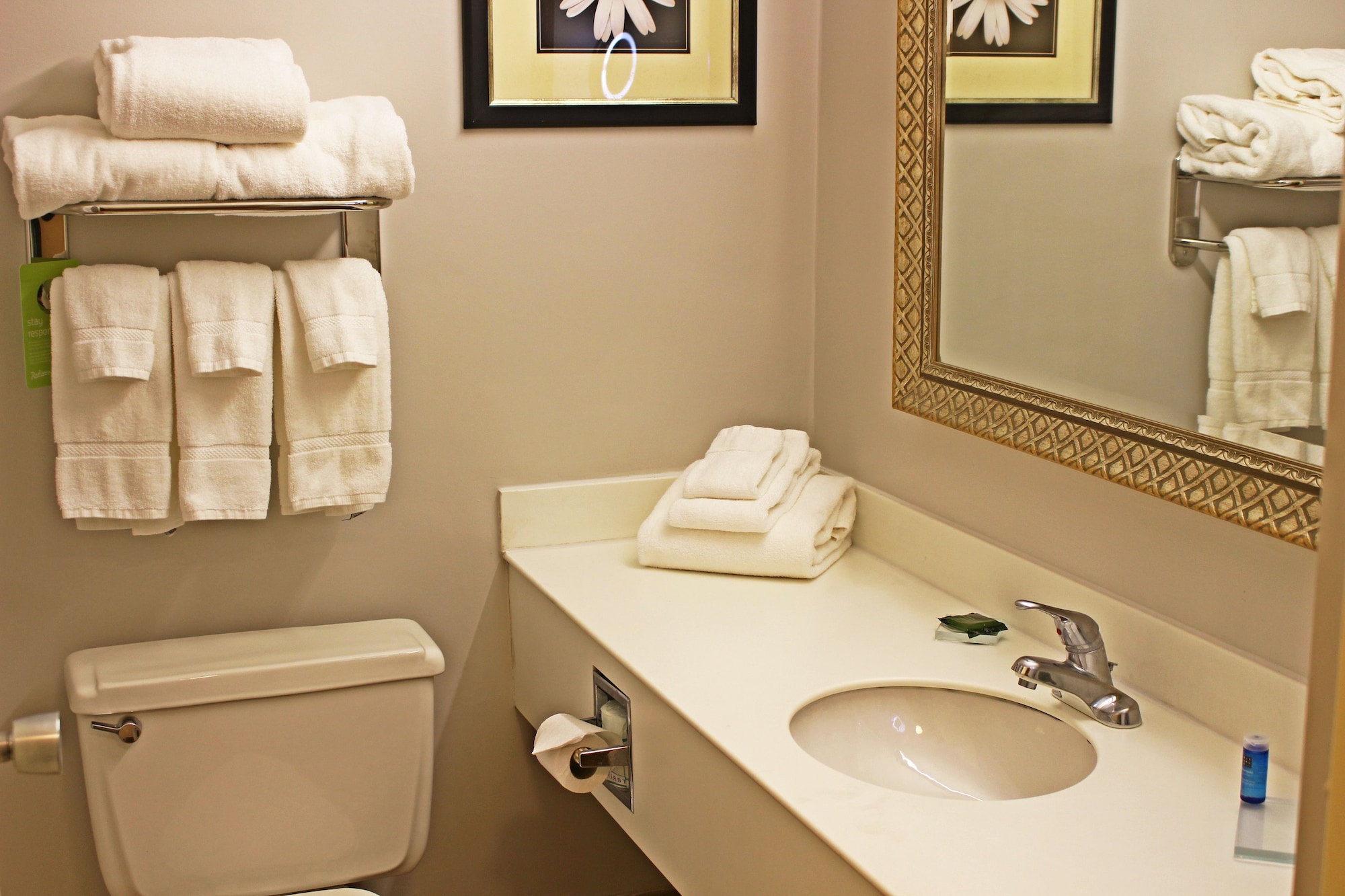غرفة قياسية بسرير كينج، Clarion Inn Sheffield Muscle Shoals 5/6