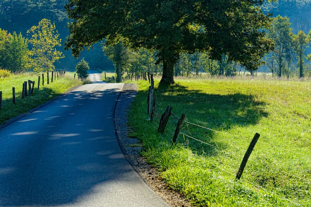 surroundings